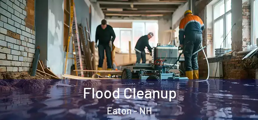  Flood Cleanup Eaton - NH