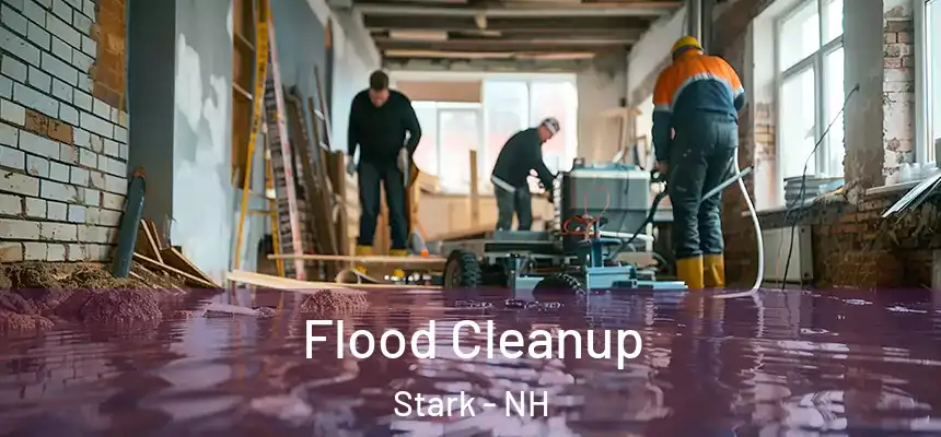  Flood Cleanup Stark - NH