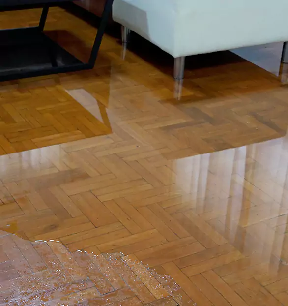 Trusted Emergency Water Restoration Company in Plymouth, NH