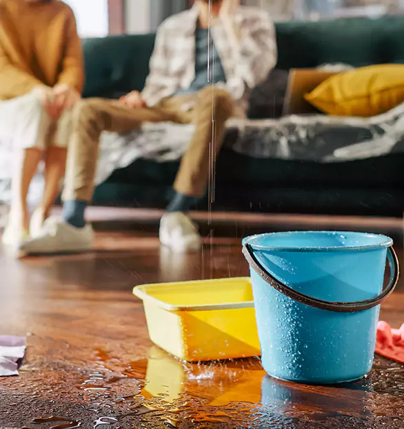 Reliable Water Mitigation Company in Plymouth, NH