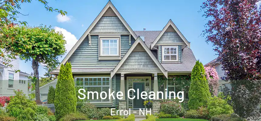  Smoke Cleaning Errol - NH